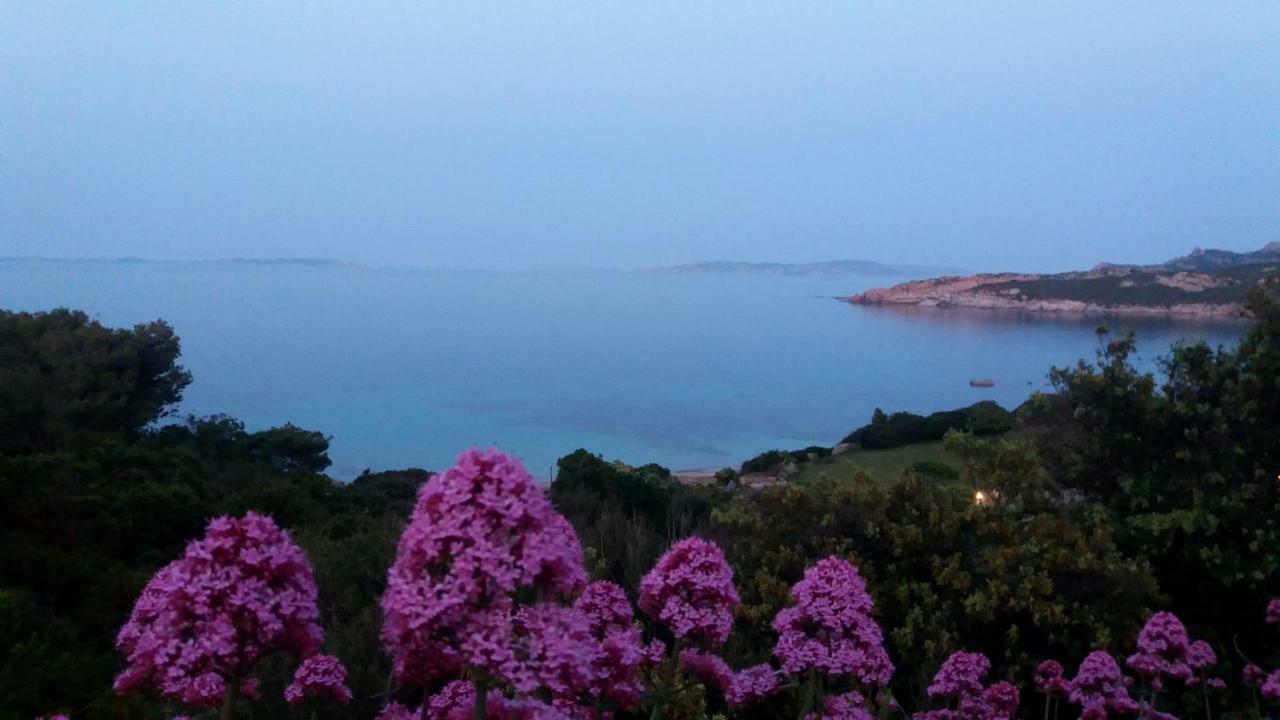 Appartamento Fronte Mare Santa Teresa Gallura Eksteriør bilde